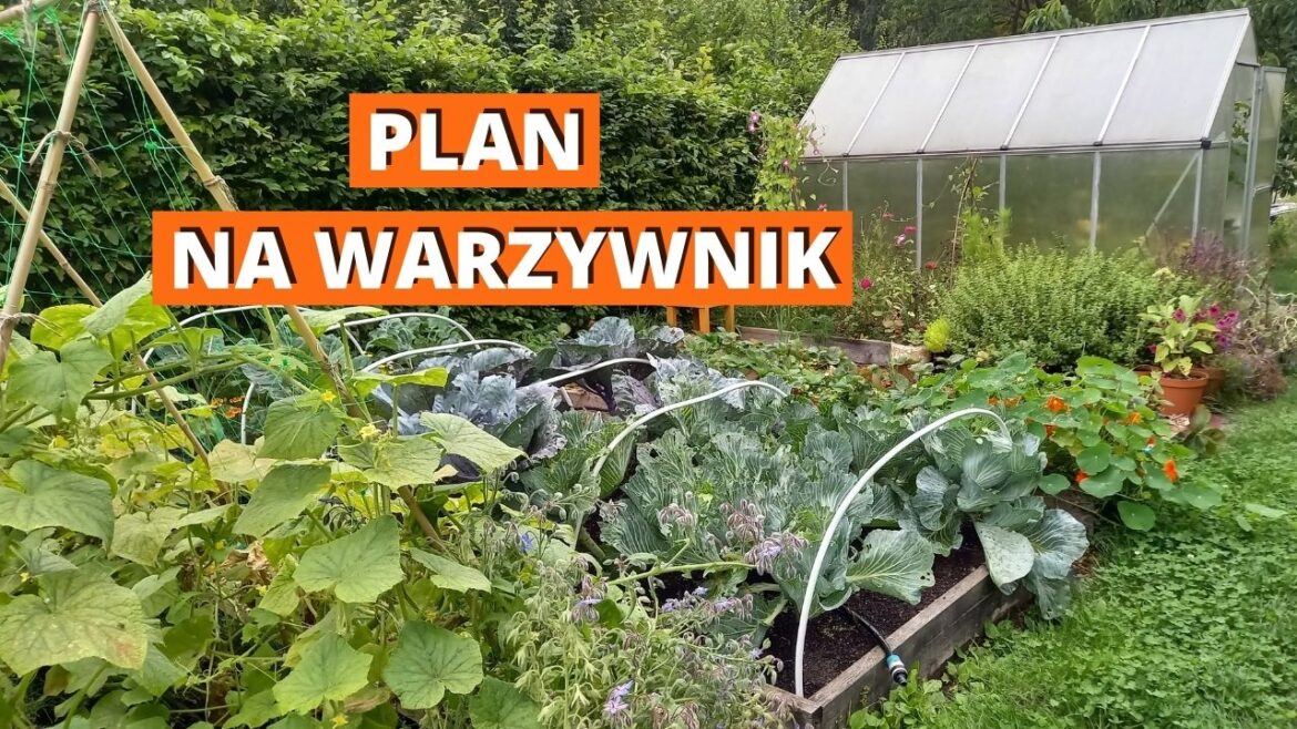 plannawarzywnik