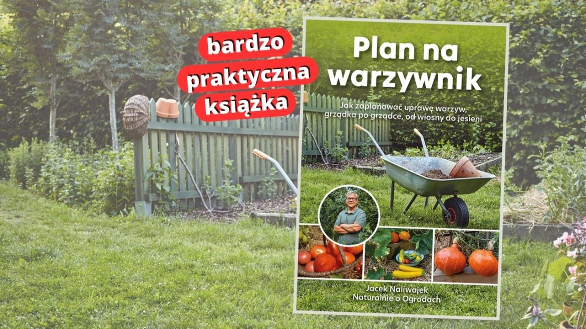 Plan na warzywnik